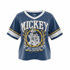 Disney Mickey & Friends Women’s Cropped Oversized Tee Size 2x Vneck